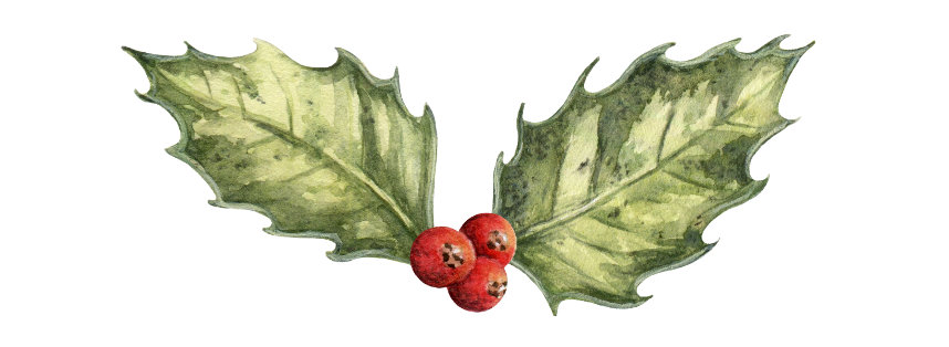 watercolour illustration of two holly leaves and three holly berries